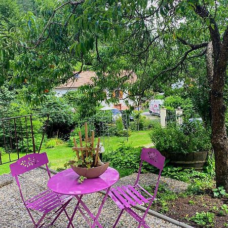La Araucania, 2 Personnes - Wifi Rombach-le-Franc ภายนอก รูปภาพ
