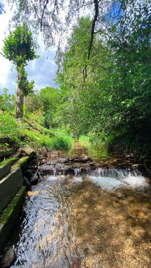 La Araucania, 2 Personnes - Wifi Rombach-le-Franc ภายนอก รูปภาพ