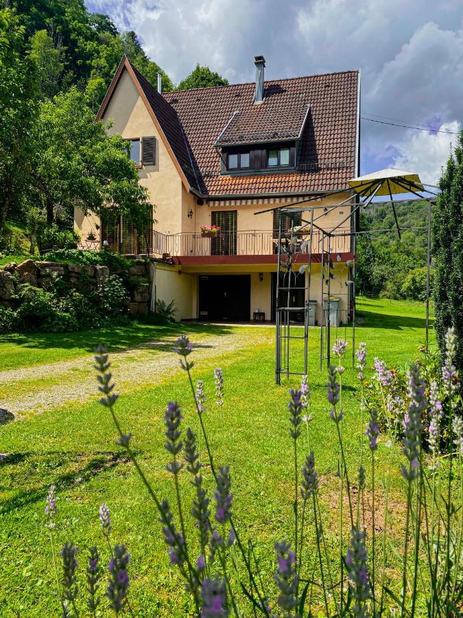 La Araucania, 2 Personnes - Wifi Rombach-le-Franc ภายนอก รูปภาพ